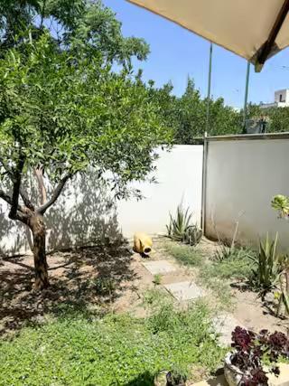 Origini - Apartment With Private Garden Lecce Esterno foto